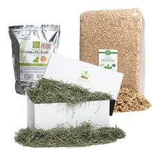 Load image into Gallery viewer, FALSE