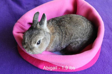 Load image into Gallery viewer, Cuddle pods
