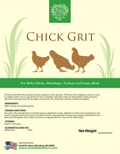 Load image into Gallery viewer, Chick Feeder Grit