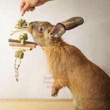 Load image into Gallery viewer, Hay and Twig Mobiles
