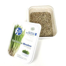 Load image into Gallery viewer, Pet Greens Meadow
