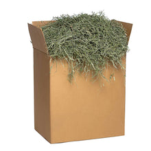 Load image into Gallery viewer, 3rd Cutting Timothy Hay
