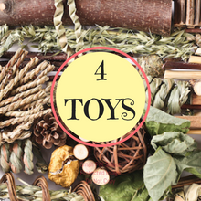 Load image into Gallery viewer, Toy Sampler
